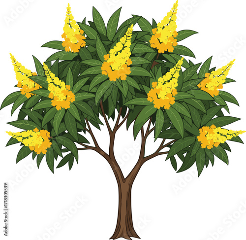 Yellow flowering tree, green leaves, cone-shaped blossoms, botanical illustration, nature beauty, symmetrical branches, seasonal bloom, stylized flora