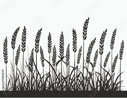 Silhouette Rice Plant image vector and Vector Art  isolated on white background.