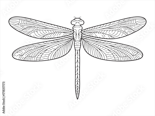 Decorative Dragonfly Drawing with Intricate Wing Patterns