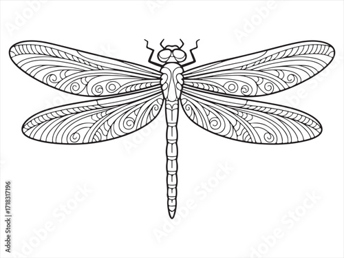 Detailed Line Art of a Dragonfly with Ornate Wings