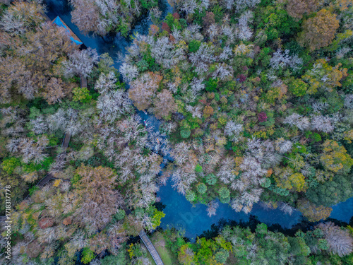 Silver River, Florida