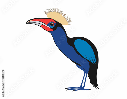 Cassowary Image Vector. Illustration Southern cassowary bird  on white Vector Image.