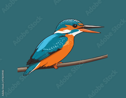 Eurasian Kingfisher image vector isolated on white background.
