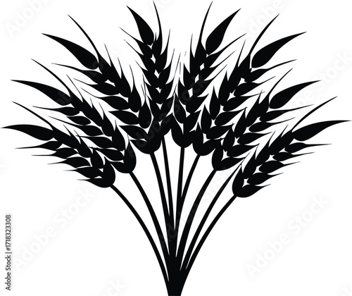 Barley Stalk Cluster Silhouette | Barley Plant Vector Illustration