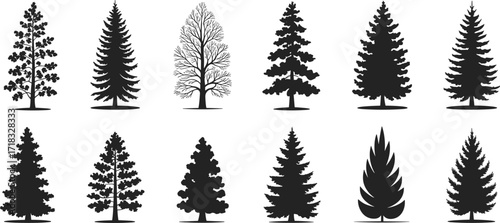Tree silhouette collection, black forest icons, isolated botanical shapes, coniferous and deciduous trees, nature design elements, vector foliage set