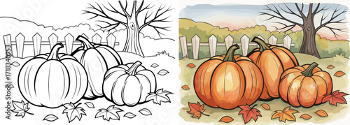 Pumpkins in Autumn Yard Scene as Coloring Page and Full-Color Illustration for Fall Crafts, Thanksgiving Activities, and Seasonal Educational Materials