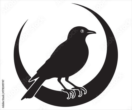 Silhouette of crow perched on crescent moon icon representing mystery, night, darkness, and gothic symbolism isolated on white background