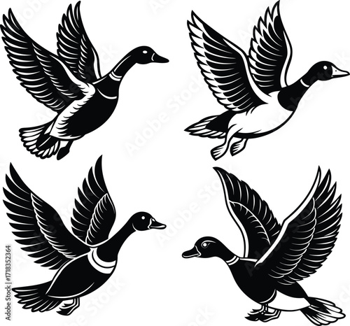 mallard-duck-flat-clean-vector--pastel-background