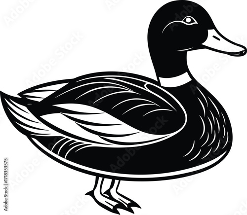 mallard-duck-flat-clean-vector--pastel-background