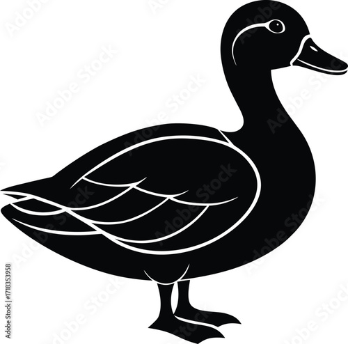 mallard-duck-flat-clean-vector--pastel-background