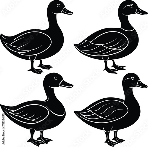 mallard-duck-flat-clean-vector--pastel-background