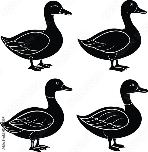 mallard-duck-flat-clean-vector--pastel-background