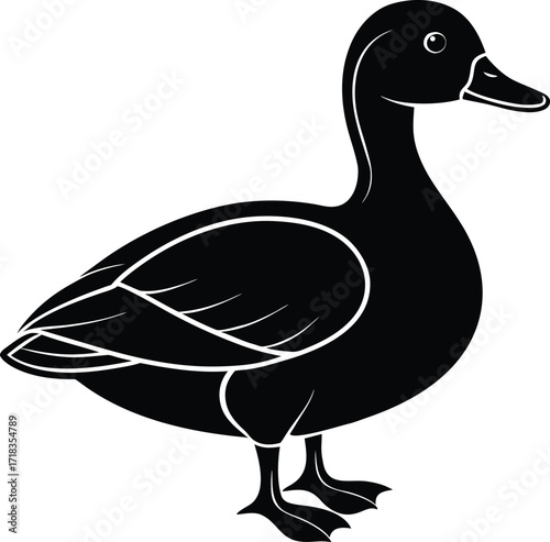 mallard-duck-flat-clean-vector--pastel-background