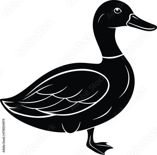 mallard-duck-flat-clean-vector--pastel-background