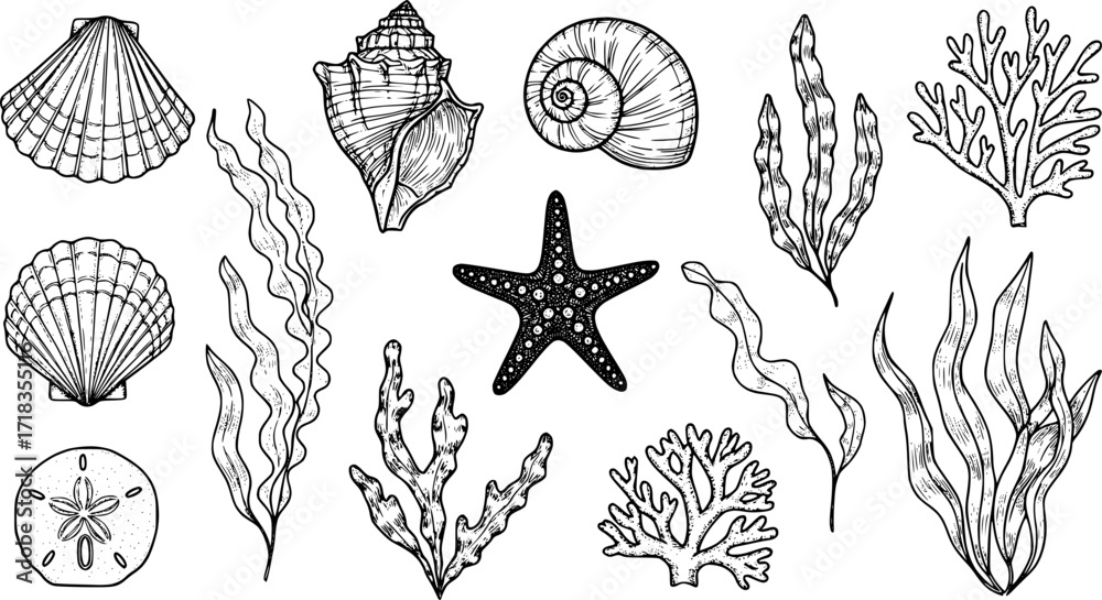 custom made wallpaper toronto digitalSketched Seashell and Marine Life Silhouette Icon Set. collection of aquatic and ocean symbols like shells, starfish, sand dollars, and seaweed. Beach and underwater concept.