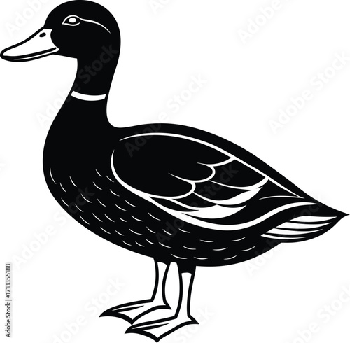 mallard-duck-flat-clean-vector--pastel-background