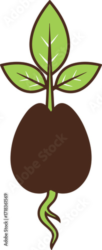 Green sprout emerging from seed with roots plant growth vector on white background.
