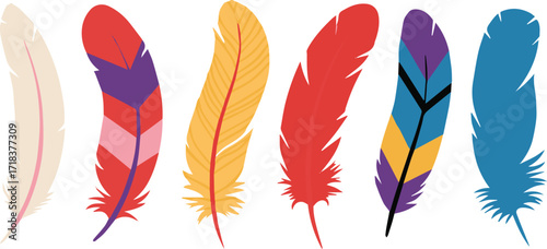 hand drawn feather vector set six exotic decorative bird plumage illustrations for bohemian and ethnic themed design