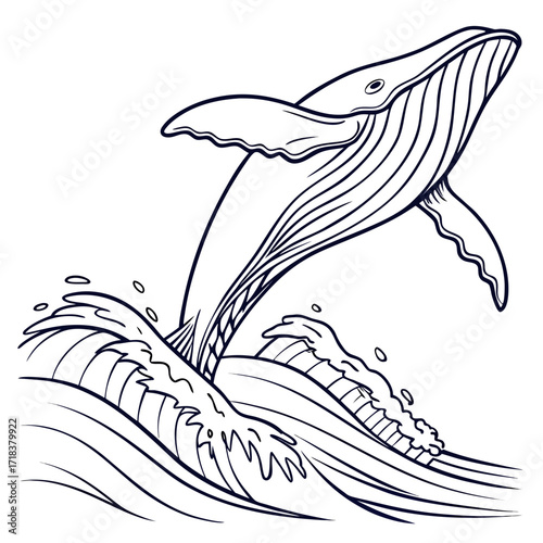 Vector art of a majestic humpback whale leaps out of the ocean waves, its sleek body arching gracefully against the, showcasing the beauty and power of marine life in a captivating illustration