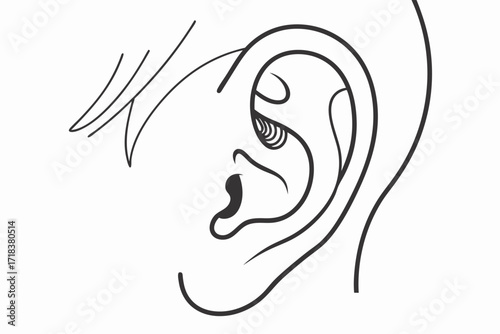 Detailed Line Drawing of a Human Ear Anatomy