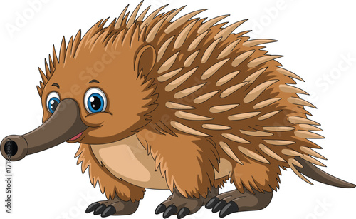 Adorable Short-Beaked Echidna, a Monotreme Mammal, with Sharp Spines and Long Snout, Cute Flat Vector Illustration, Isolated on White Background