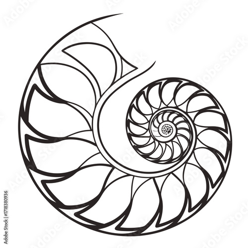 Vector art of intricate line art illustration of a nautilus shell, , showcasing the mesmerizing spiral pattern and mathematical beauty of natures design, ideal for science and art projects