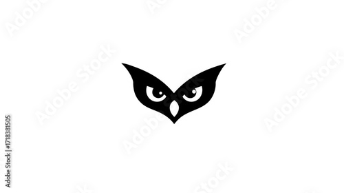 Stylized owl mask on white background