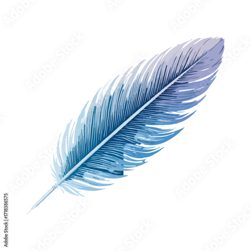 feather isolated on white background vector illustration