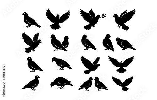 Collection of bird silhouettes featuring pigeons in various poses and actions