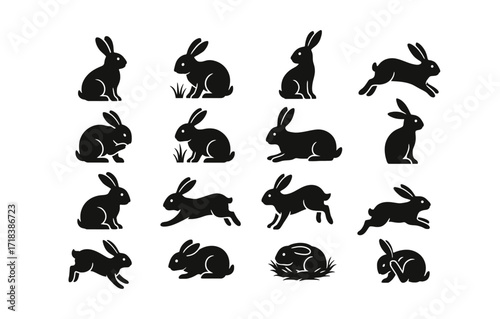 Rabbit silhouette set: diverse poses and movements