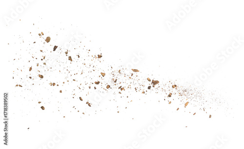 Cuadro en lienzo Pieces and dust of tree bark flying, isolated on white background and texture, c