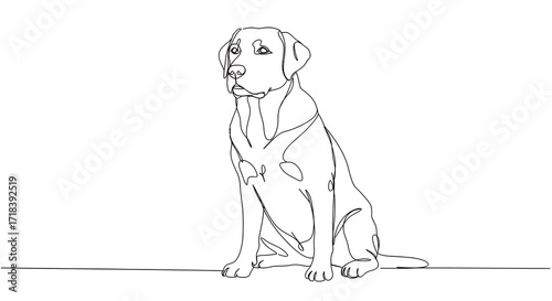 Labrador dog line drawing