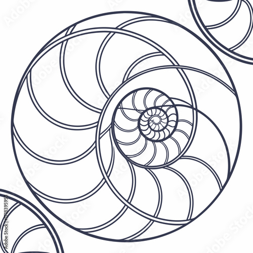 Vector art of seamless pattern of nautilus shells, showcasing the intricate spiral design and mathematical beauty found in nature, perfect for backgrounds, textiles, and artistic projects