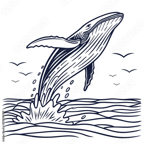 Vector art of whale breaching the ocean surface, surrounded by smaller birds, creating a dynamic and captivating scene, perfect for marine life themes, conservation efforts, or natureinspired designs