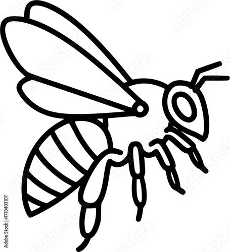 Bee illustration vector graphic honeybee icon bumblebee drawing insect outline simple design line art
