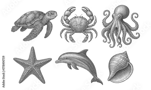 Intricate marine life drawing featuring turtle, crab, octopus, and more