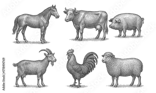 Detailed farm animals in vintage style: horse, cow, pig, goat, rooster, sheep