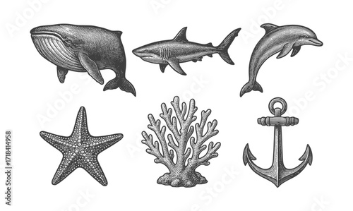 Vintage marine life collection with marine animals, coral, and anchor