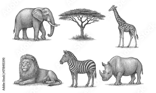 Intricate safari wildlife sketches featuring elephant, giraffe, zebra, and more