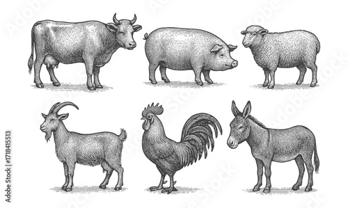 Intricate engraving of farm animals: cow, pig, sheep, goat, rooster, donkey in classic style