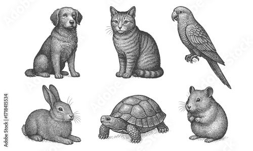 Intricate animal sketches: dog, cat, parrot, rabbit, tortoise, hamster