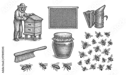 Vintage beekeeping elements with honey jar and bees in engraved style