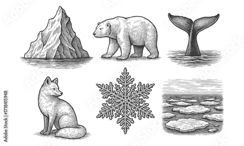Vintage arctic life: polar bear, iceberg, whale tail, fox, snowflake, ice