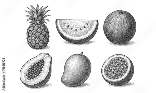 Hand-drawn tropical fruits collection with pineapple, watermelon, mango, and more