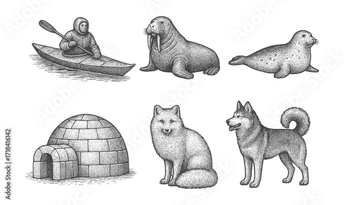 Vintage arctic wildlife and culture: walrus, igloo, fox, inuit canoe, seal, dog