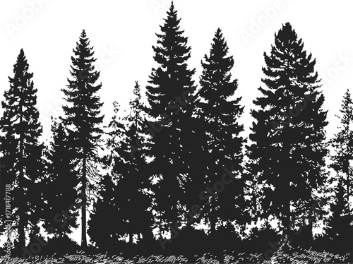 Pine tree silhouette sketch, hand drawn forest landscape with dense conifer trees and textured ground — stock vector