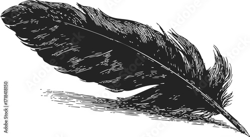 Feather sketch hand drawn black bird feather vintage style detailed illustration — stock vector