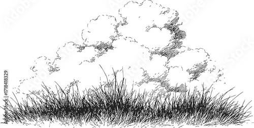 Grass and bush sketch, hand drawn line art with textured foliage — stock vector
