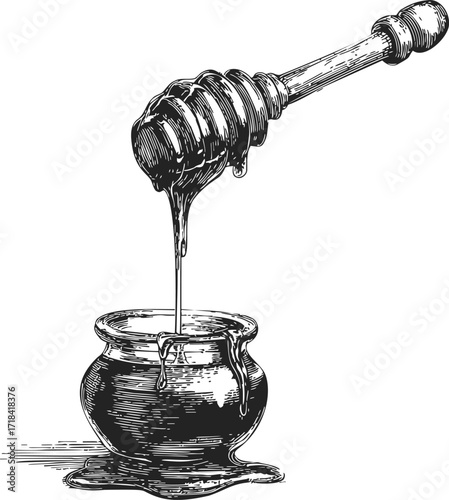 Honey dipper sketch hand drawn style with honey dripping into rustic jar — stock vector