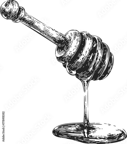 Honey dipper sketch hand drawn with honey dripping, vintage style kitchen utensil illustration — stock vector